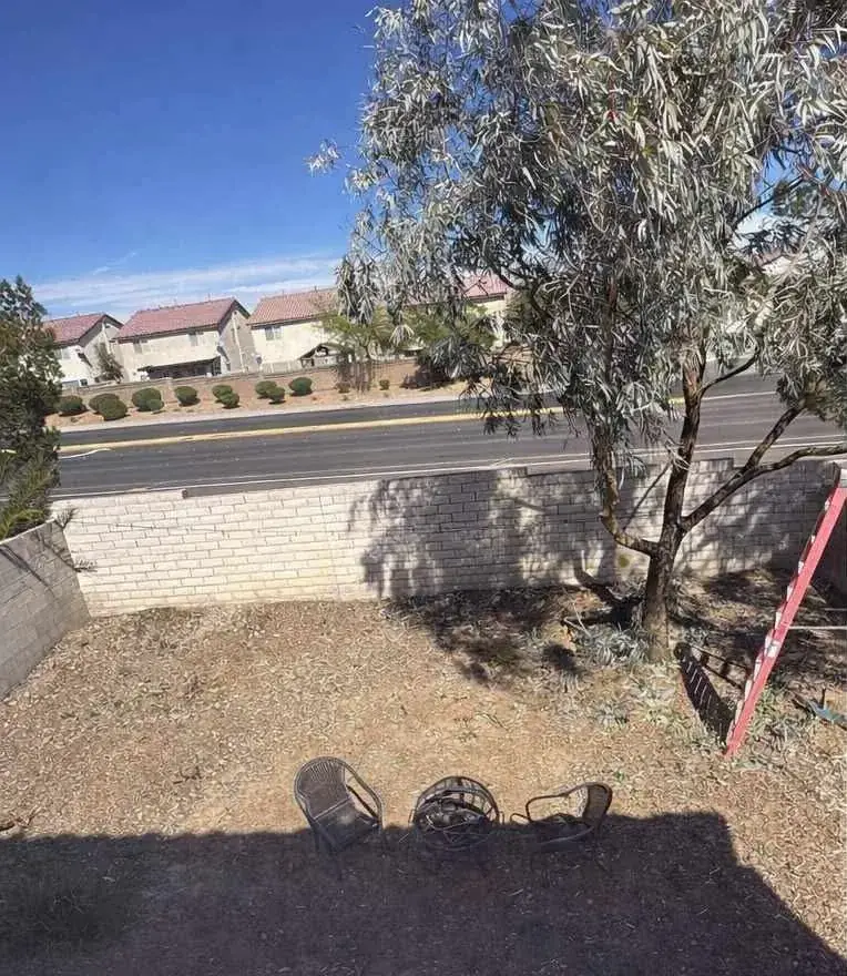 Backyard before: bare dirt