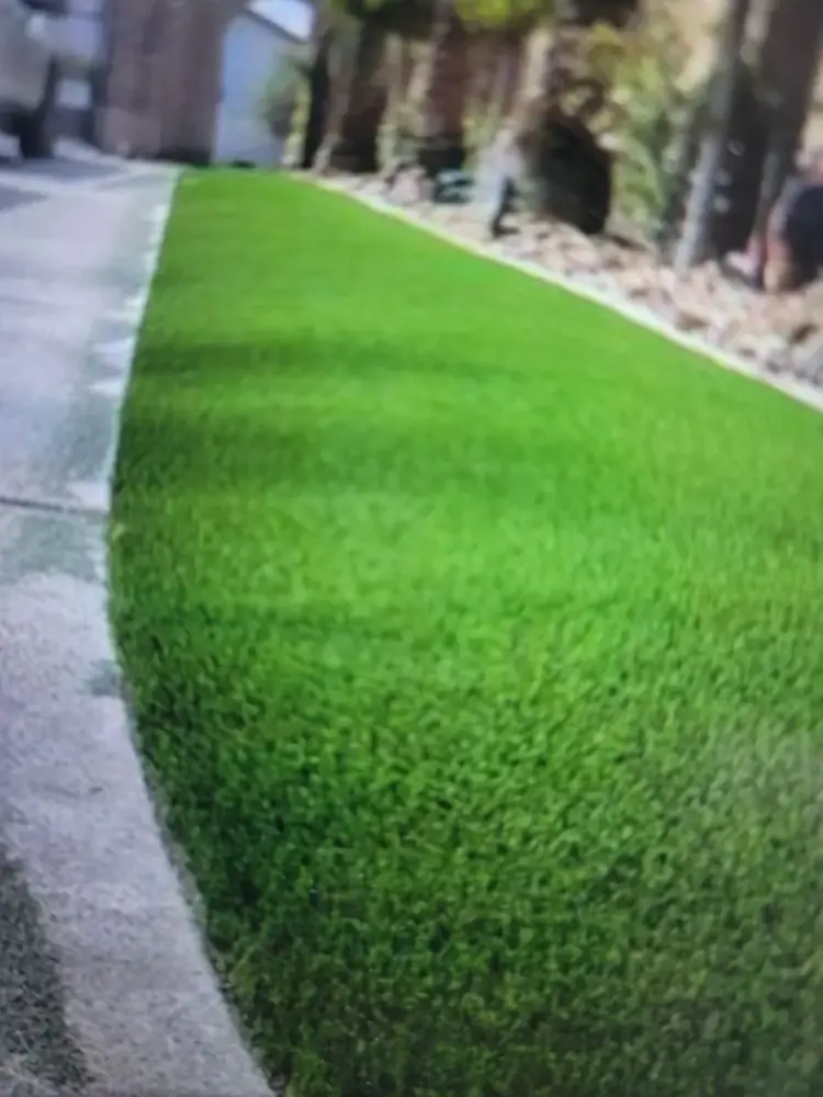 Clean turf edge along a concrete walkway